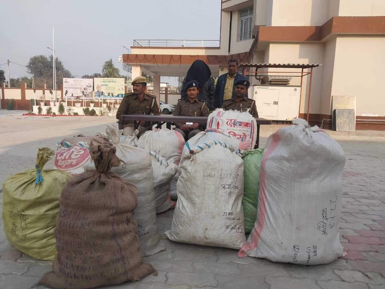 अलग-अलग पंचायत से 2.13 क्विंटल गांजा बरामद, एक तस्कर गिरफ्तार