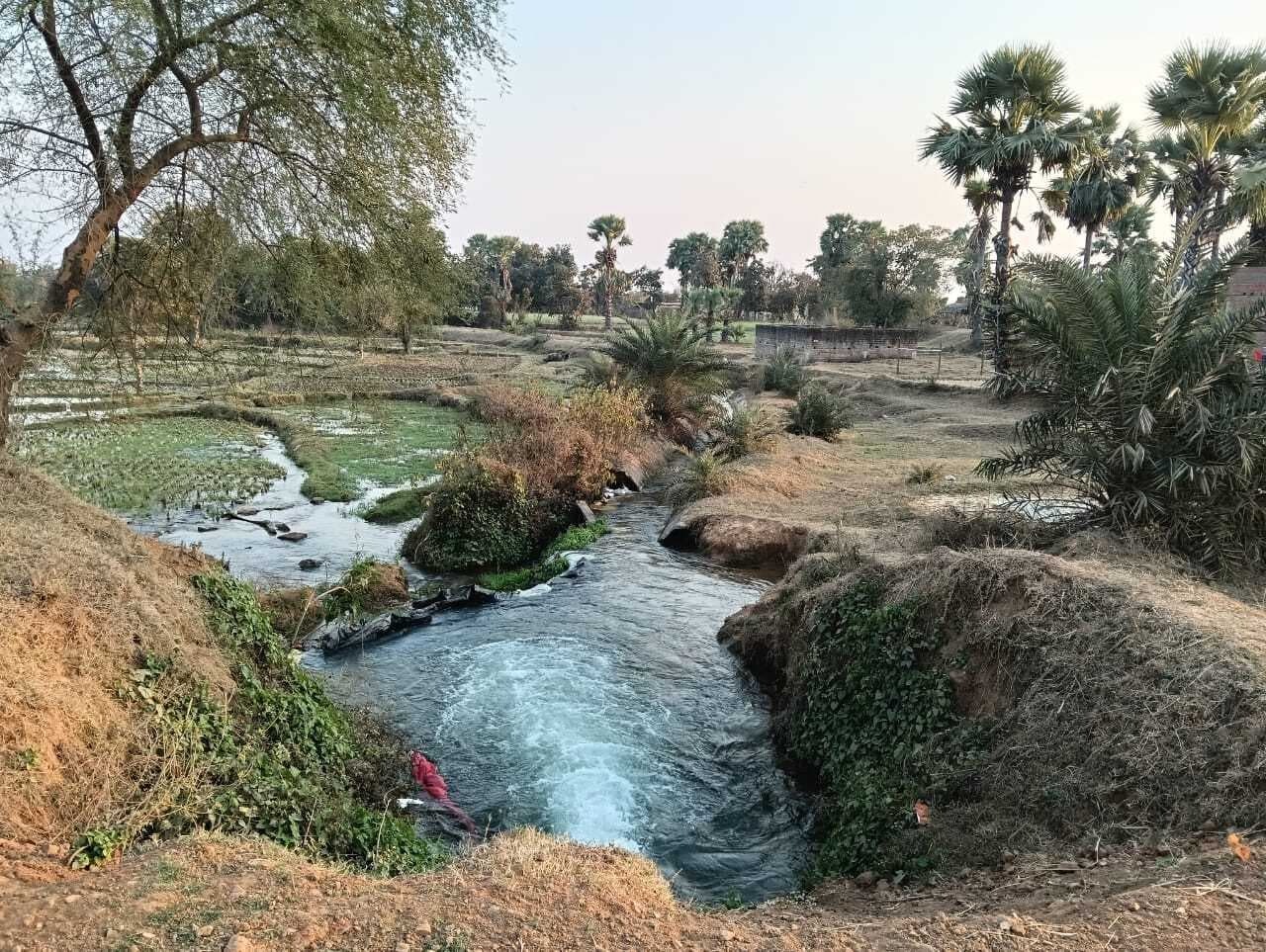 एमएलबीसी के कई विलेज कैनाल क्षतिग्रस्त, सिंचाई में परेशानी