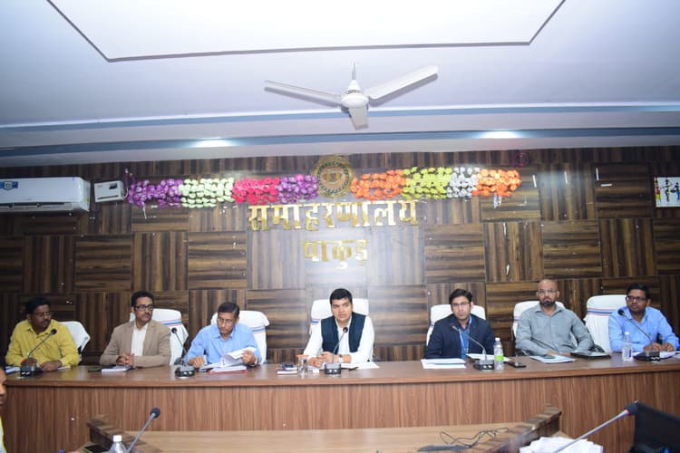 नीलाम-पत्र वाद के बड़ूे बकायेदारों को करें चिह्नित : डीसी