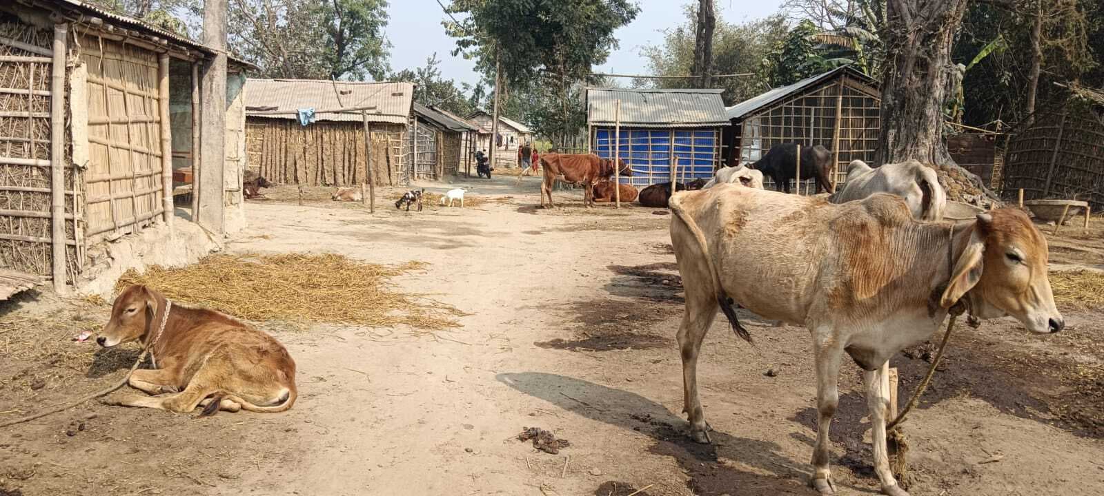 शिलान्यास के बाद भी हेल्थ एंड वेलनेस सेंटर की जमीन पर है अतिक्रमणकारियों का कब्जा