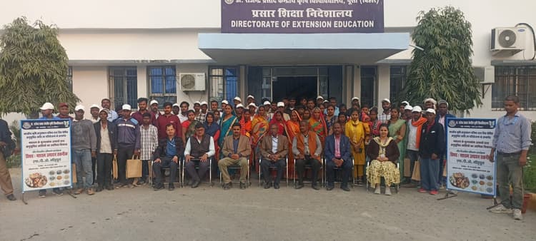 Agricultural University Pusa: आजीविका का साधन बना मशरूम : डा चंद्रा