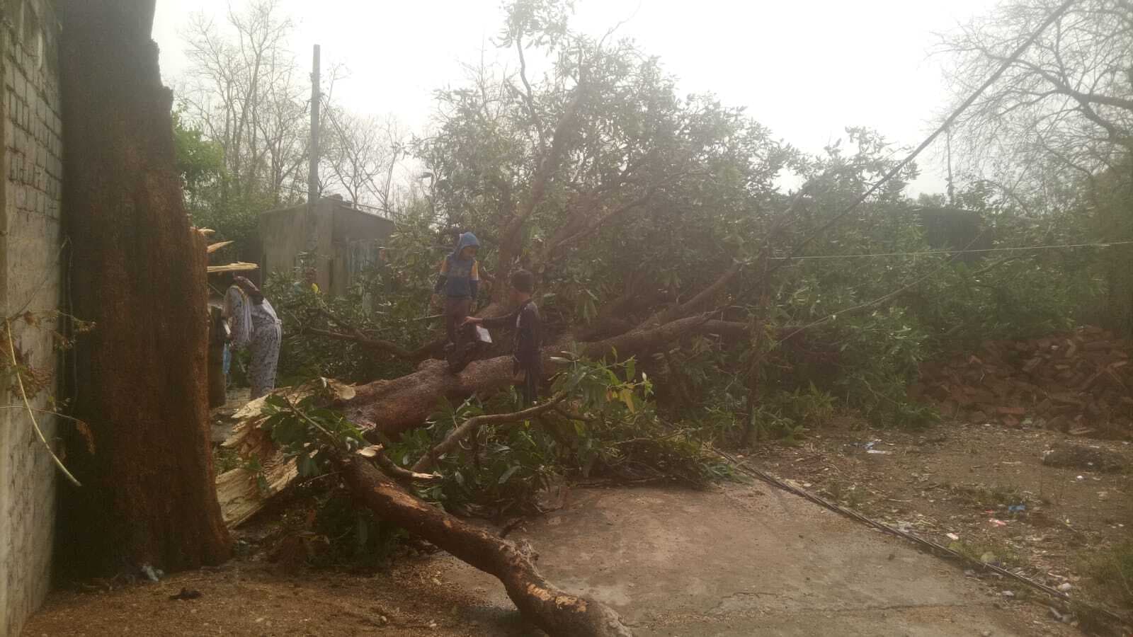 Seraikela news : खरसावां में बारिश के साथ गिरे ओले, सब्जी व फसल को नुकसान