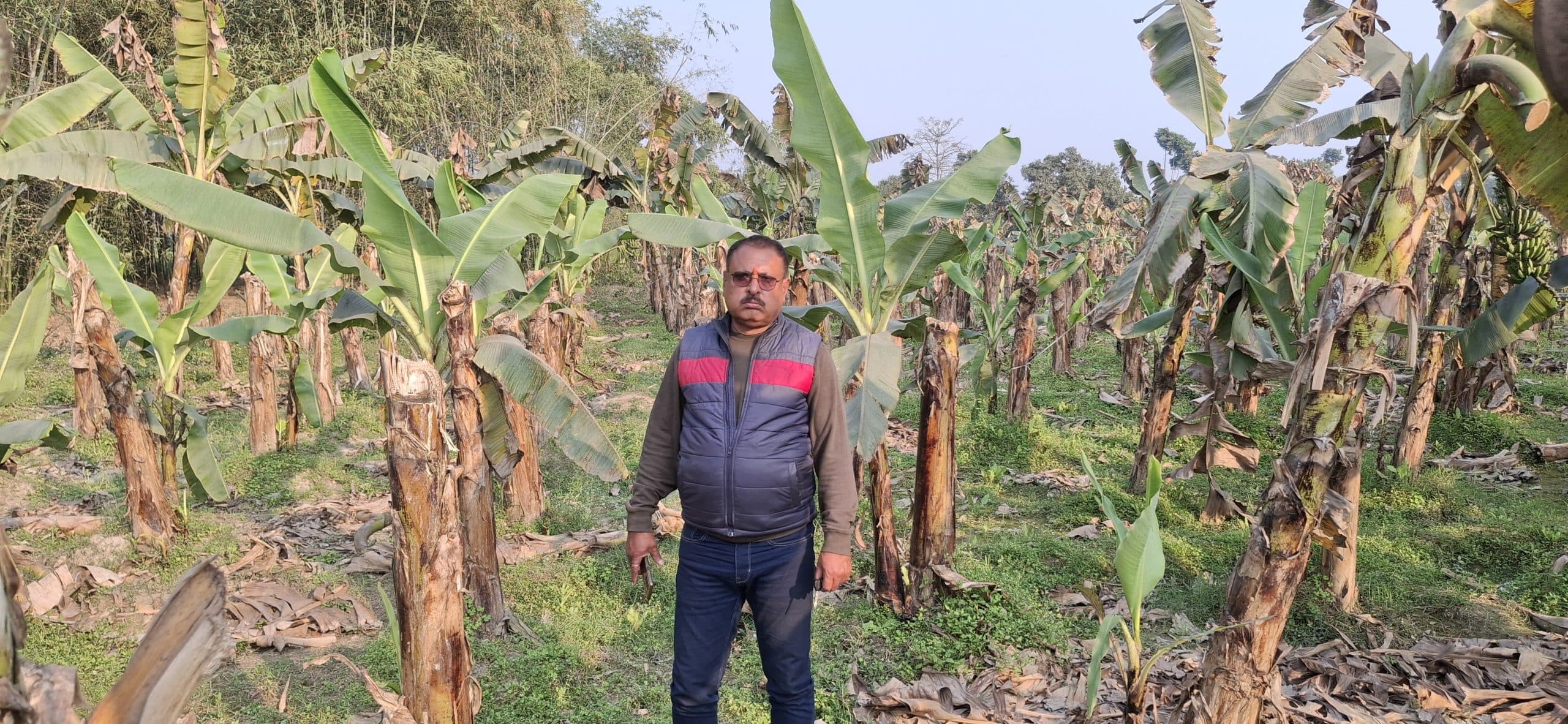 जैविक खाद से खेती कर अपनी तकदीर बदल रहे राजेश