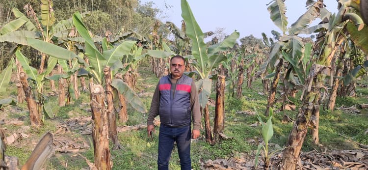 जैविक खाद से खेती कर अपनी तकदीर बदल रहे राजेश