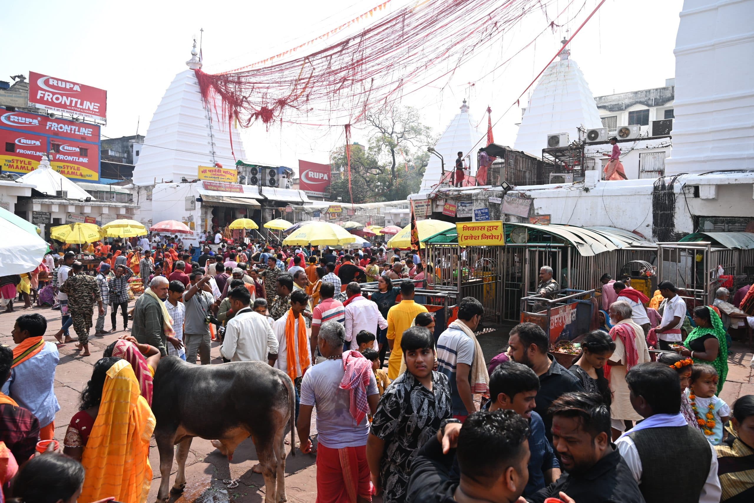 Deoghar news : महाशिवरात्रि के दिन वीआइपी पूजा व आउट ऑफ टर्न दर्शन पर रहेगी रोक : डीसी