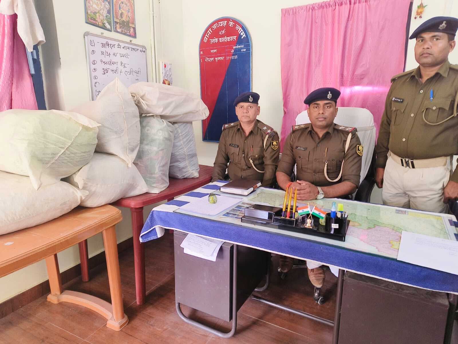 मक्का खेत से 60 किलो गांजा बरामद, तस्कर फरार