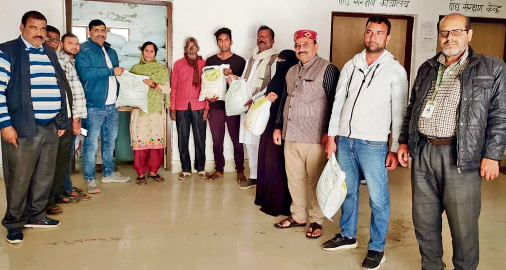 80 प्रतिशत अनुदान पर मिलेंगे मूंग, उड़द और तिल के बीज