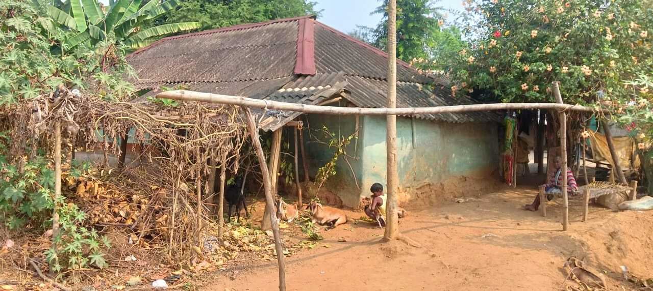 East singhbhum News : चाकुलिया में मॉब लिंचिंग : बकरी चोरी के आरोपी दो युवकों की पिटाई से मौत, आठ पर केस, 15-20 ग्रामीण हिरासत में