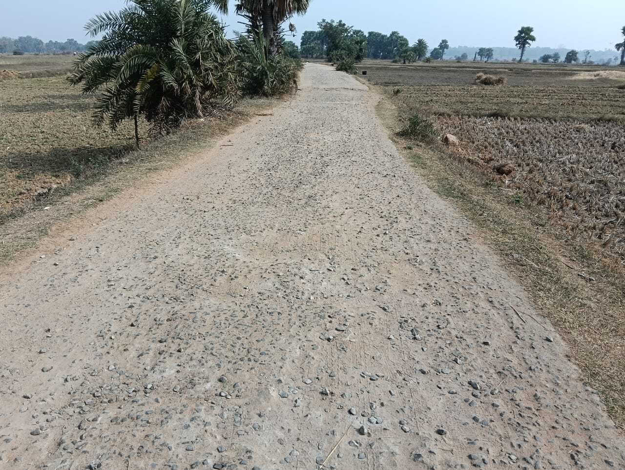 सुखजोड़ा-दक्षिणजोल सड़क बदहाल: वाहन क्या, पैदल चलना भी दूभर