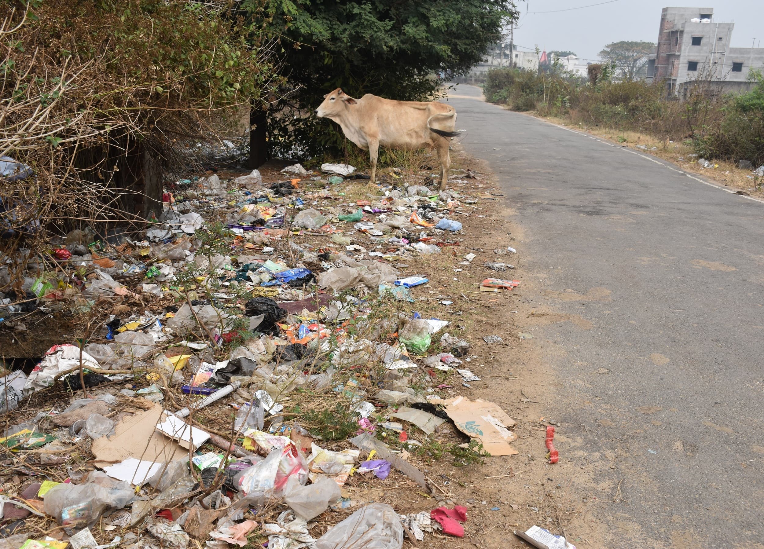 Bokaro News : पाइपलाइन बिछी है, पानी नसीब नहीं, सड़क है कच्ची, फैला है कचरा
