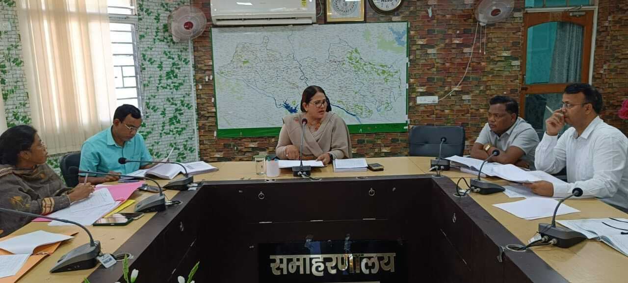 डीसी ने कार्य में शिथिलता पर डीएलएओ को लगायी फटकार