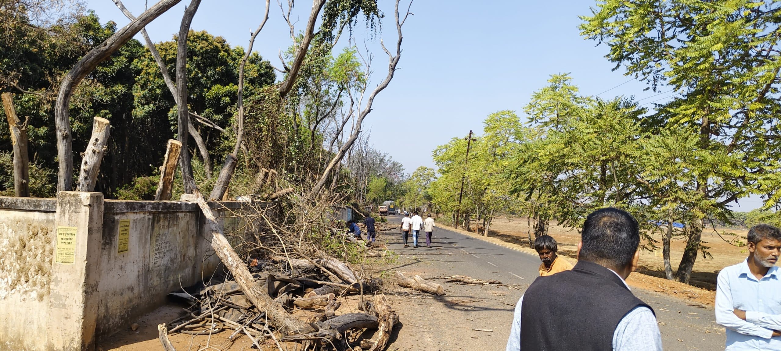 फार्मनावाडीह डिग्री कॉलेज कैंपस के सड़क किनारे से जर्जर पेड़ों को हटाने का काम शुरू