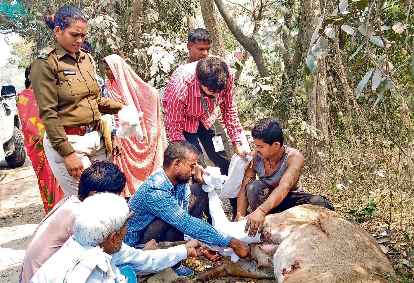 पुलिस व ग्रामीणों के हस्तक्षेप से जख्मी नीलगाय की बची जान