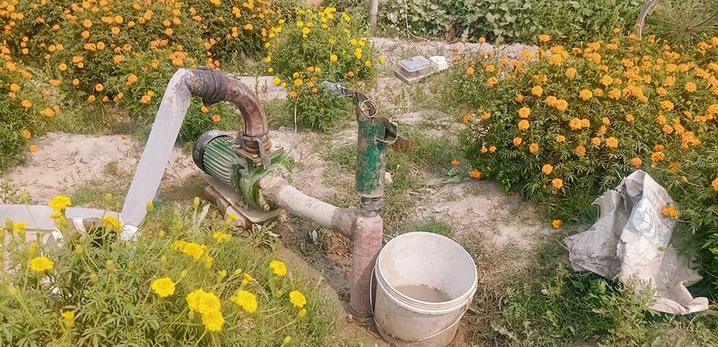 hajipur news. किसानों को समृद्ध बना रहा मुख्यमंत्री कृषि विद्युत संबंध योजना, महंगी सिंचाई से मिली मुक्ति