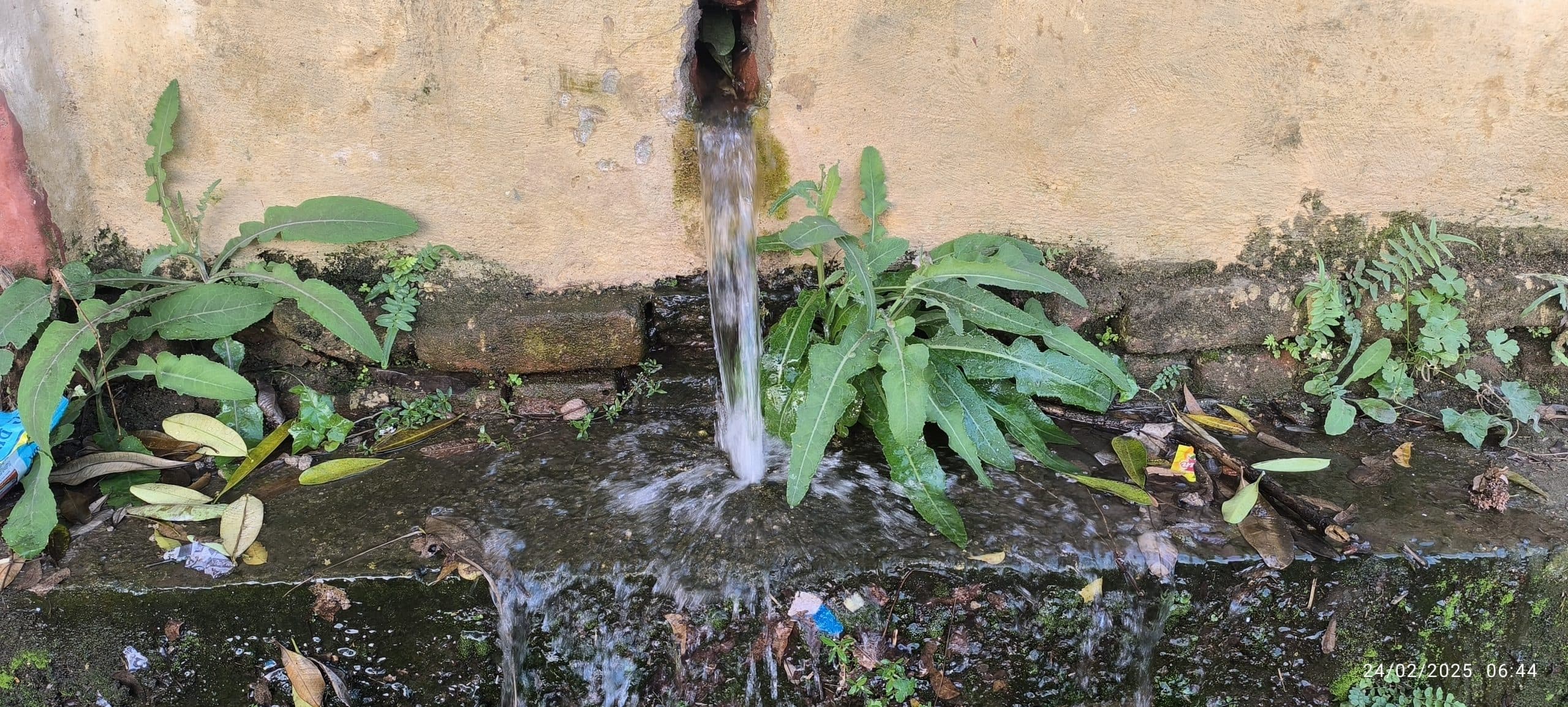 Girirdih News :जलापूर्ति पाइप लीक होने से बह रहा पानी