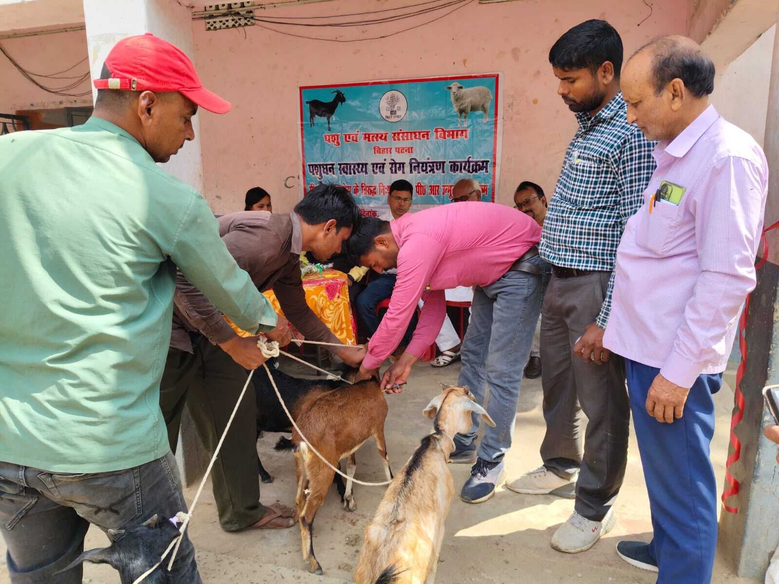 सिंदुरिया धर्मशाला में मवेशियों का किया गया उपचार