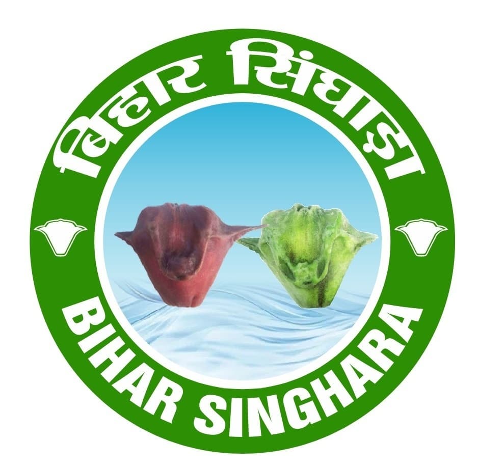 मखाना के बाद पानीफल सिंघाड़ा के लिए जीओ टैगिंग की कवायद