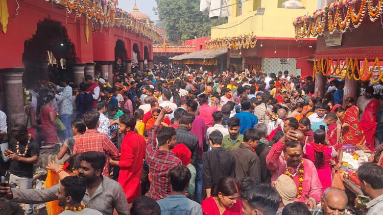 गाजे-बाजे के साथ निकली भगवान भोलेनाथ की बारात, देवी- देवता व भूत-पिशाच भी हुए शामिल