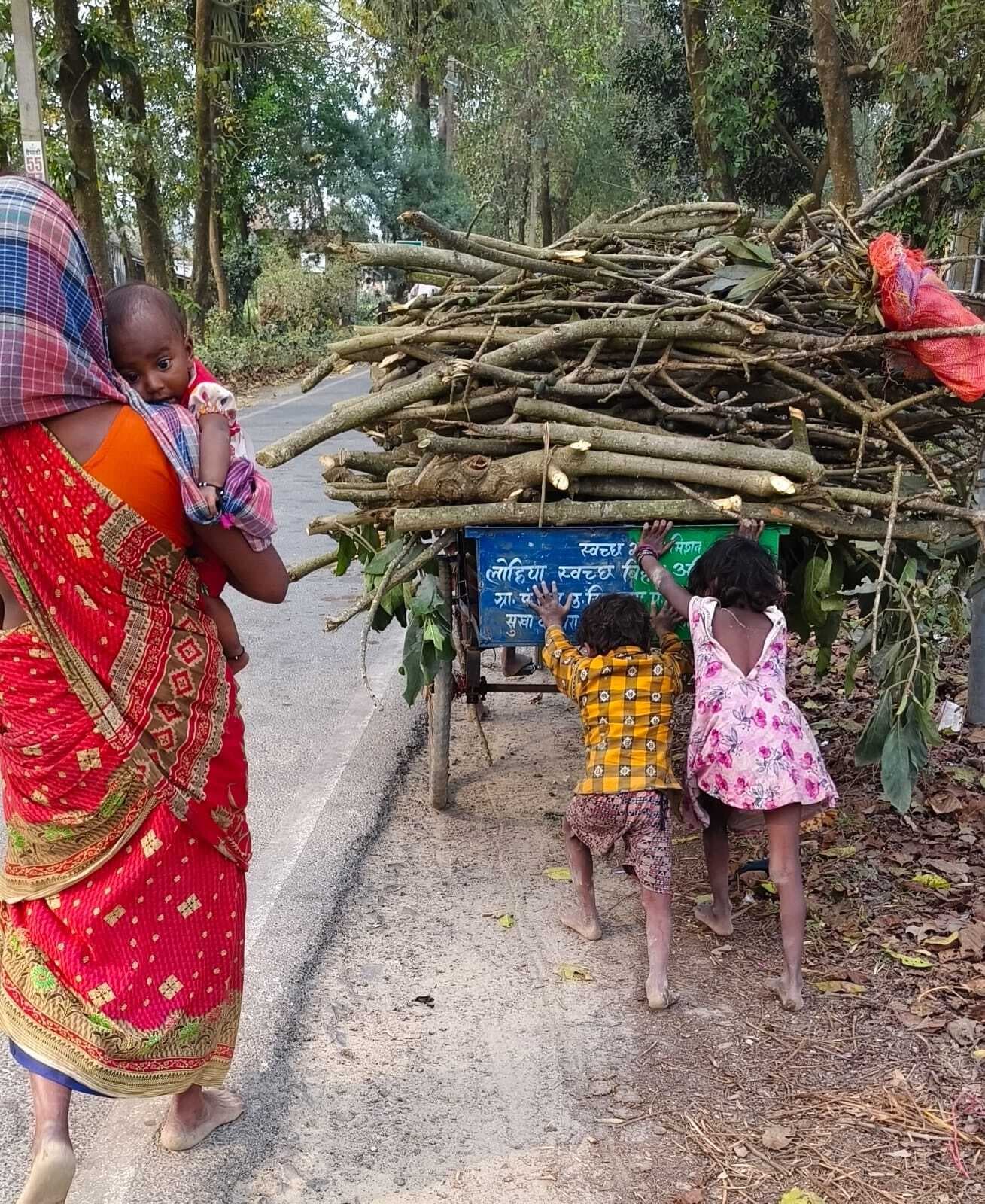 स्वच्छता वाहन से ढोयी जा रही जलावन की लकड़ी