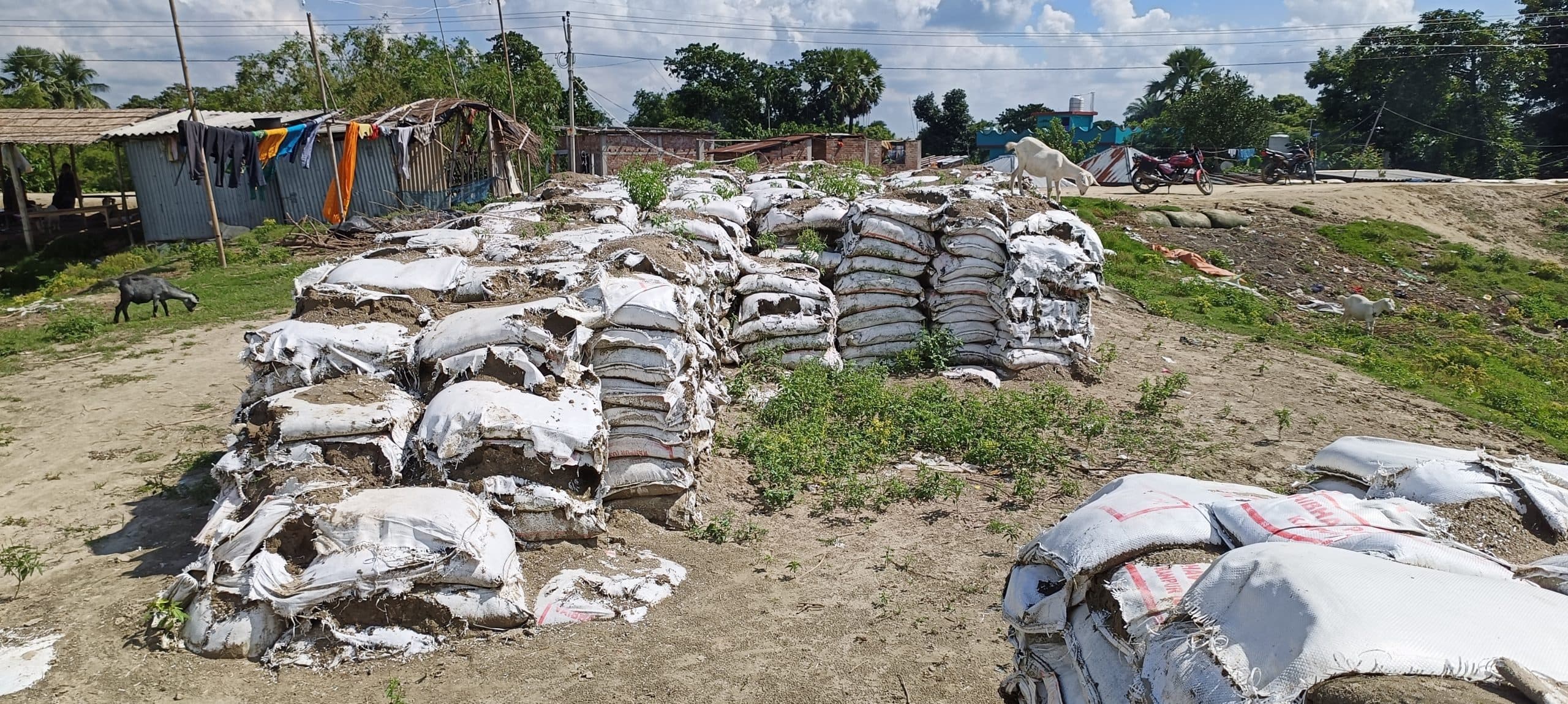 तटबंध किनारे फ्लड फाइटिंग के लिए रखी गयी सैकड़ों बोरियां हो गयी बर्बाद