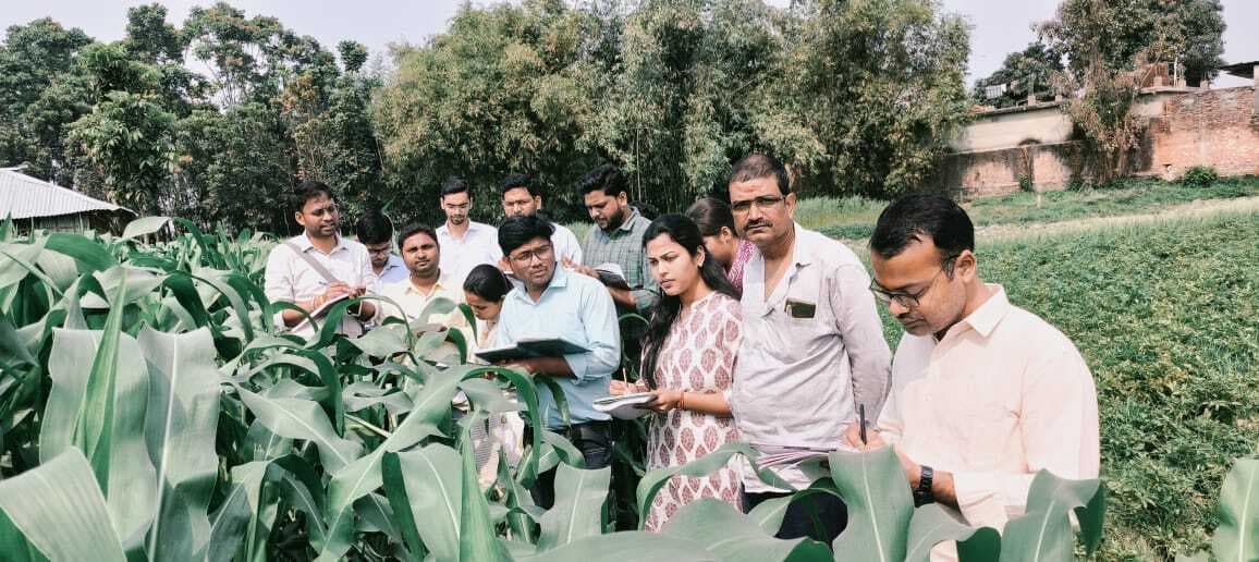 कर्ण वंदना गेहूं प्रभेद से नवनियुक्त कृषि पदाधिकारियों को कराया अवगत
