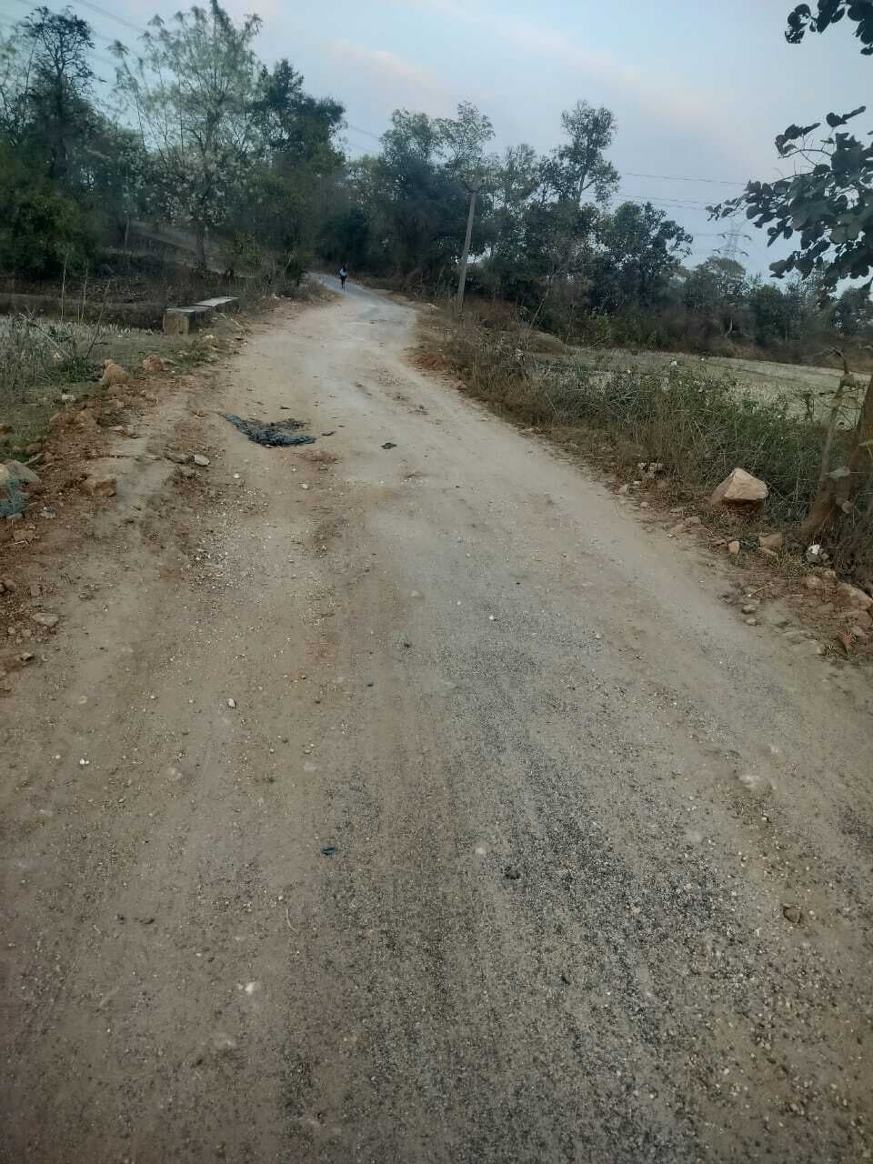 Giridih News :मंढला खेतको से वाया अलगडीहा सड़क हुई जर्जर, मरम्मत की मांग