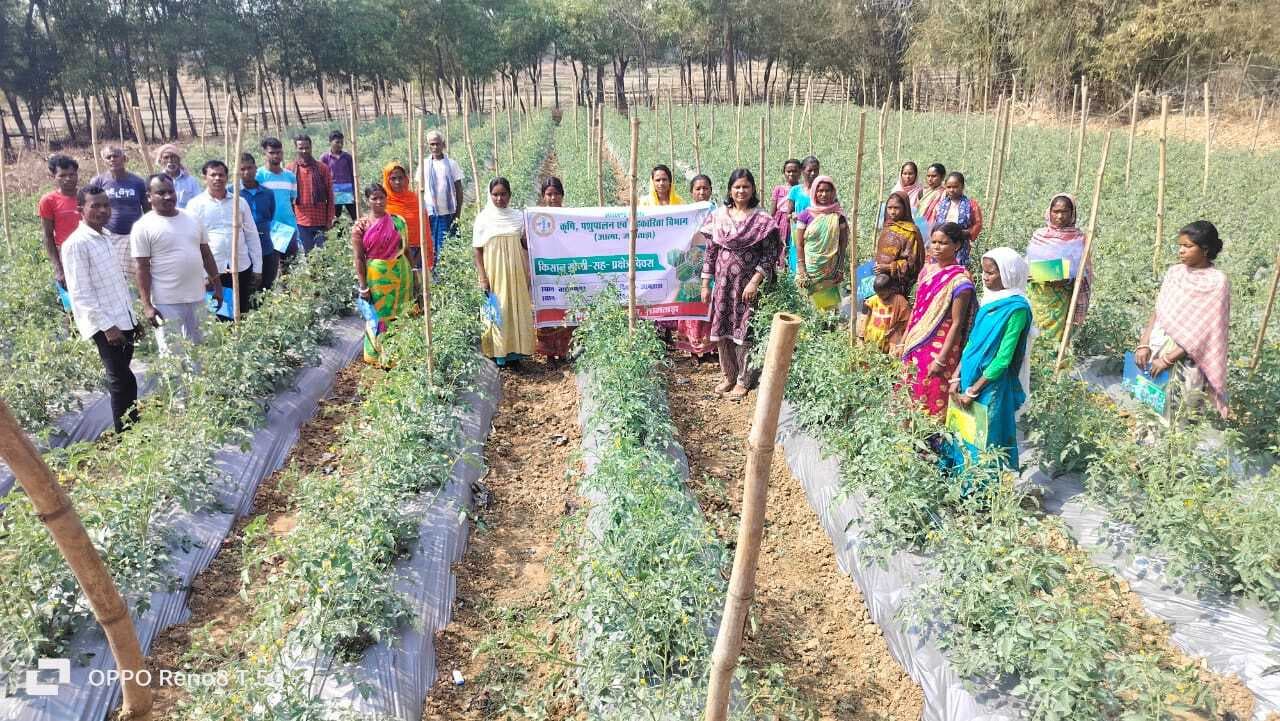 आत्मा ने किसानों को दी उन्नत खेती की जानकारी