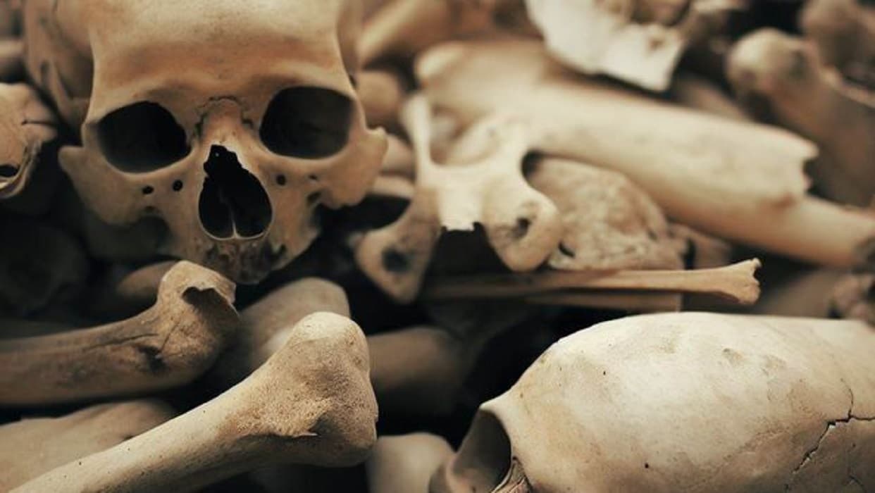 भारत-नेपाल सीमा पर बढ़ी कंकाल तस्करी, 38 मानव खोपड़ी के साथ एक गिरफ्तार