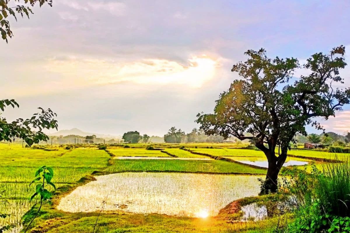 Jharkhand Weather: अब तक 5.9 मिमी बारिश, वेदर डिपार्टमेंट ने बताया- अगले 15 दिन कैसा रहेगा झारखंड का मौसम