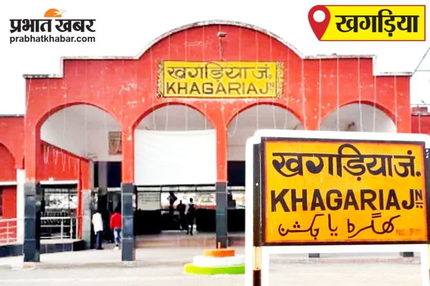 ईट हटाने के दौरान युवक को सांप काटा