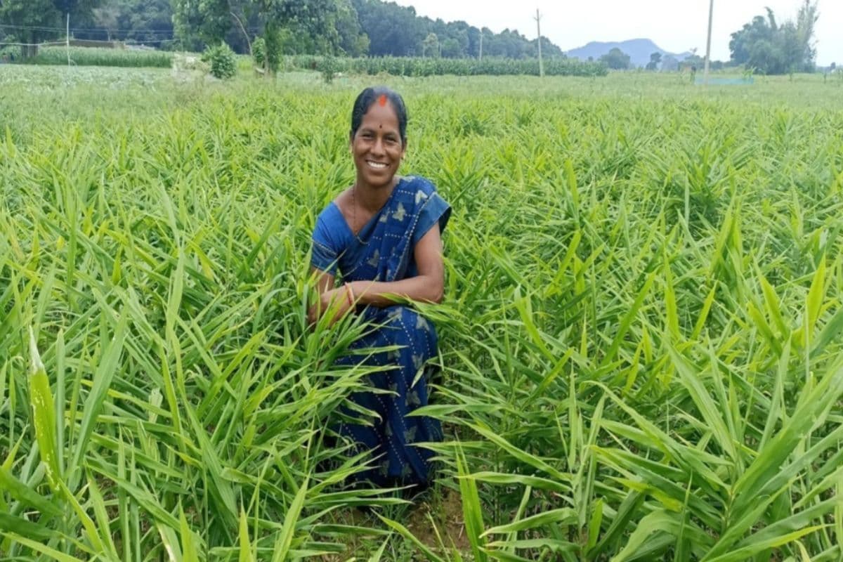 Success Story: कभी दो वक्त रोटी के लिए थीं मोहताज, खेतीबाड़ी की इस तकनीक से बदली किस्मत, शीला उरांव की कमाई पर नहीं होगा यकीन