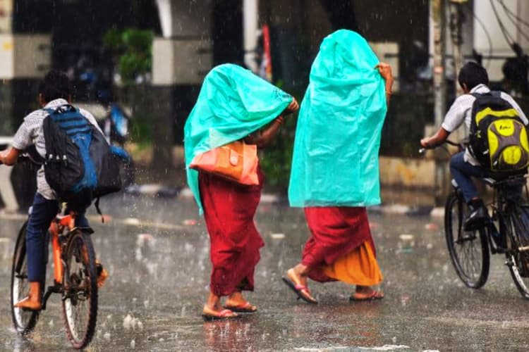 Rain Alert: 48 घंटे में बदलेगा मौसम, तेज हवा और बारिश का अलर्ट, , पश्चिमी विक्षोभ फिर हो रहा एक्टिव