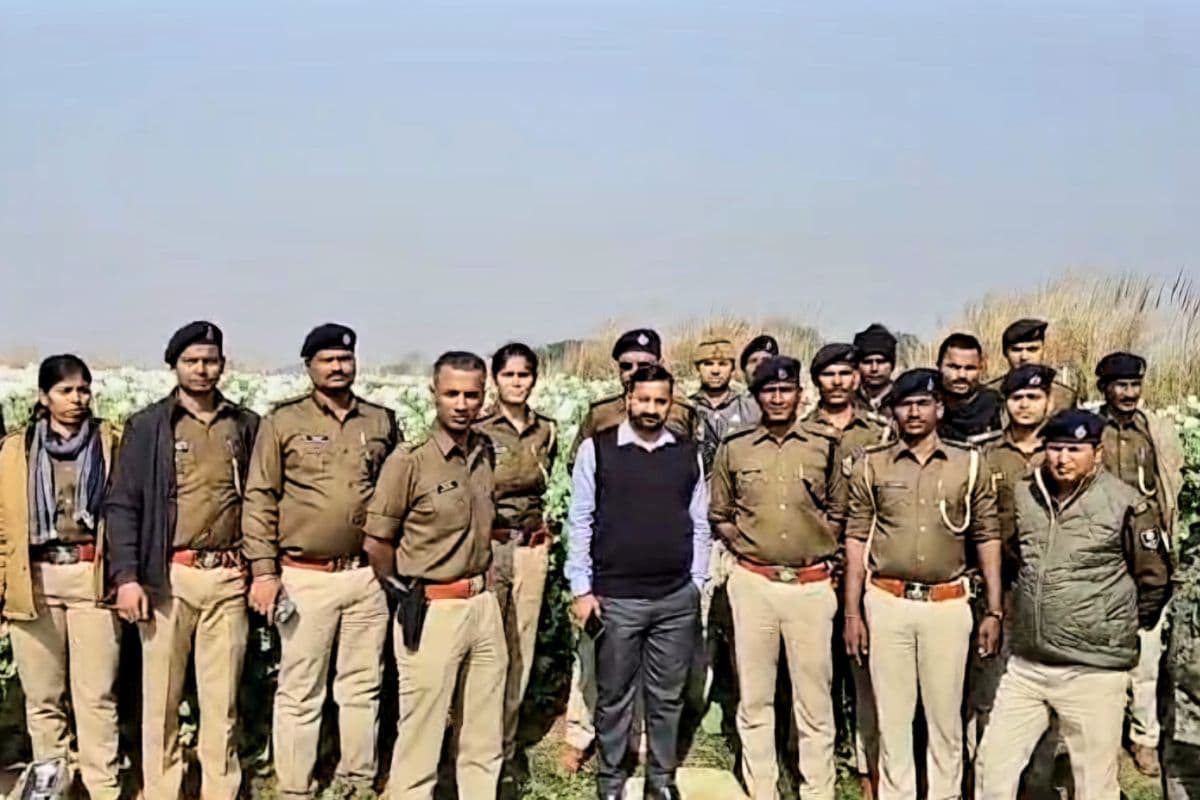 Video: बिहार में 10 एकड़ में हो रही थी अफीम की खेती, वीडियो में देखिए पुलिस ने कैसे किया नष्ट