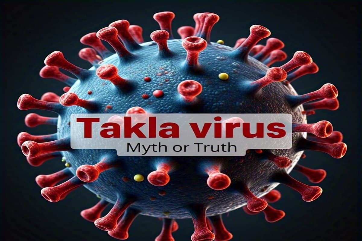 Baldness Mystery Solved: टकला वायरस का सच जानकर चौंक जाएंगे आप, लोगों के बालों को सफा चट कर जाता था