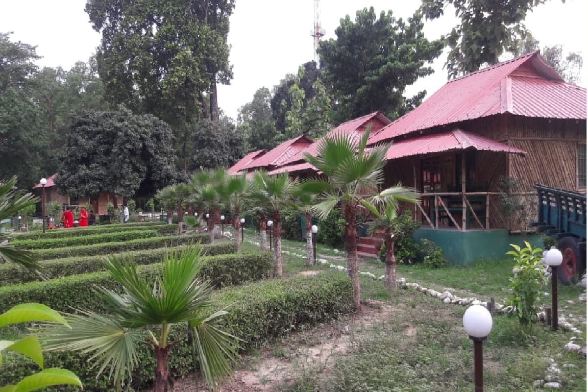 Bihar Tourism: वाल्मीकिनगर में का बा.. जंगल सफारी से लेकर खूबसूरत पहाड़ियां