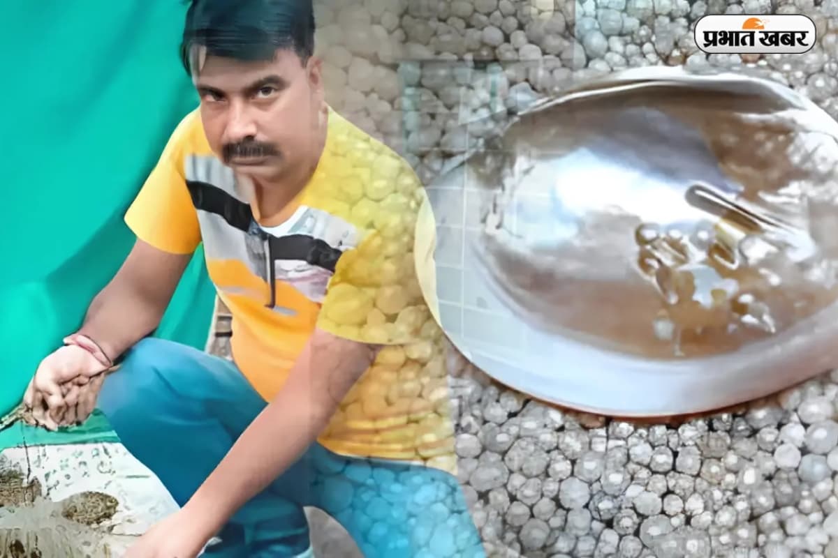 Success Story : यूट्यूब पर एक गलत सर्च से मिला बिजनेस आइडिया, आज खड़ा कर दिया लाखों का साम्राज्य