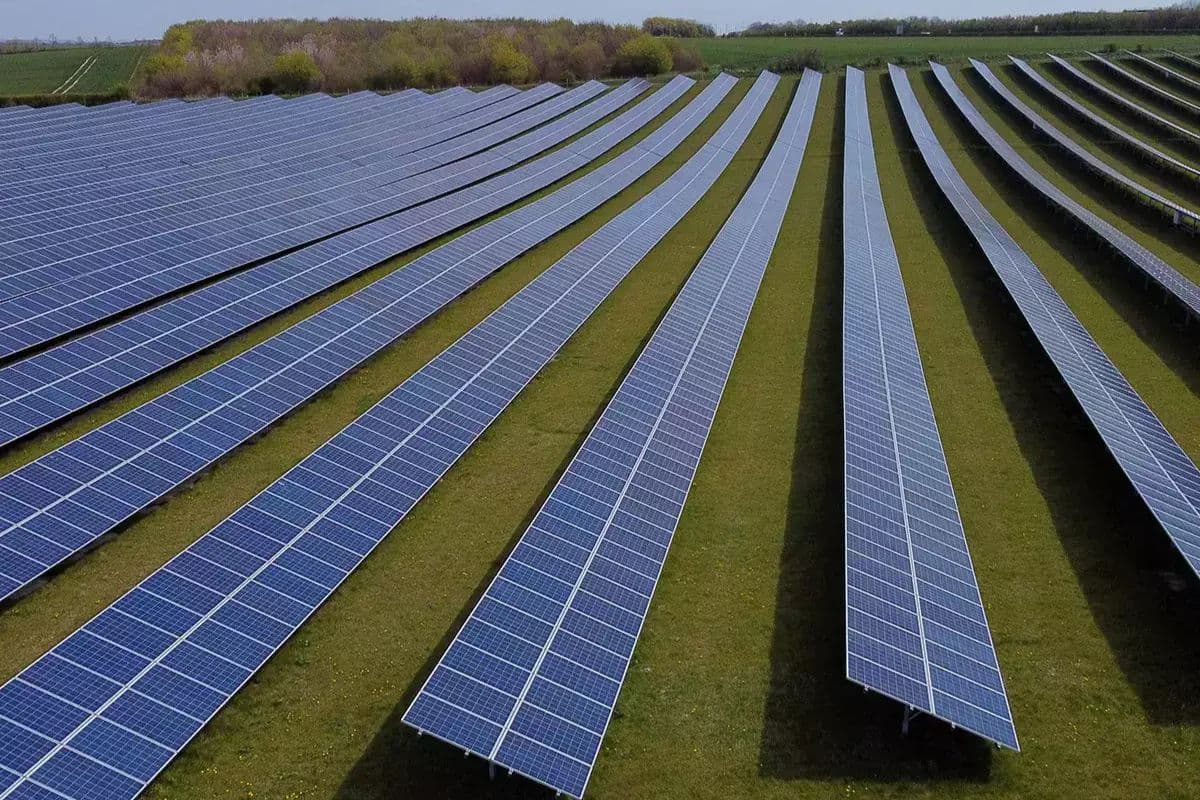 Exclusive: भागलपुर के पीरपैंती में बनेगा थर्मल पावर प्लांट, सौर ऊर्जा परियोजना के लिए जमीन खोजने में जुटी ये कंपनी