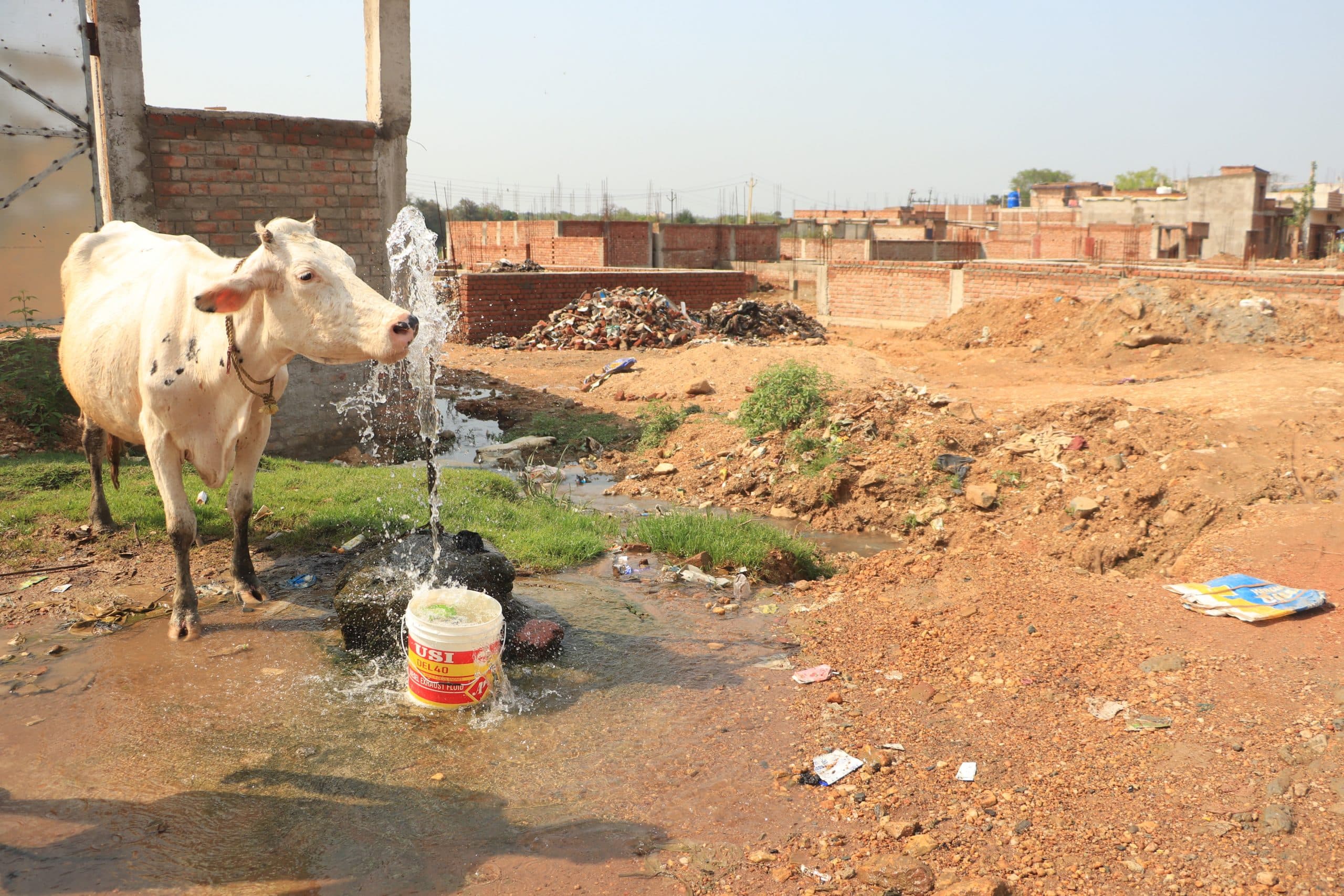 JAMSHEDPUR NEWS : कुसुम घाट के पास पाइपलाइन से चौबीसों घंटे पानी बहकर हो रहा बरबाद