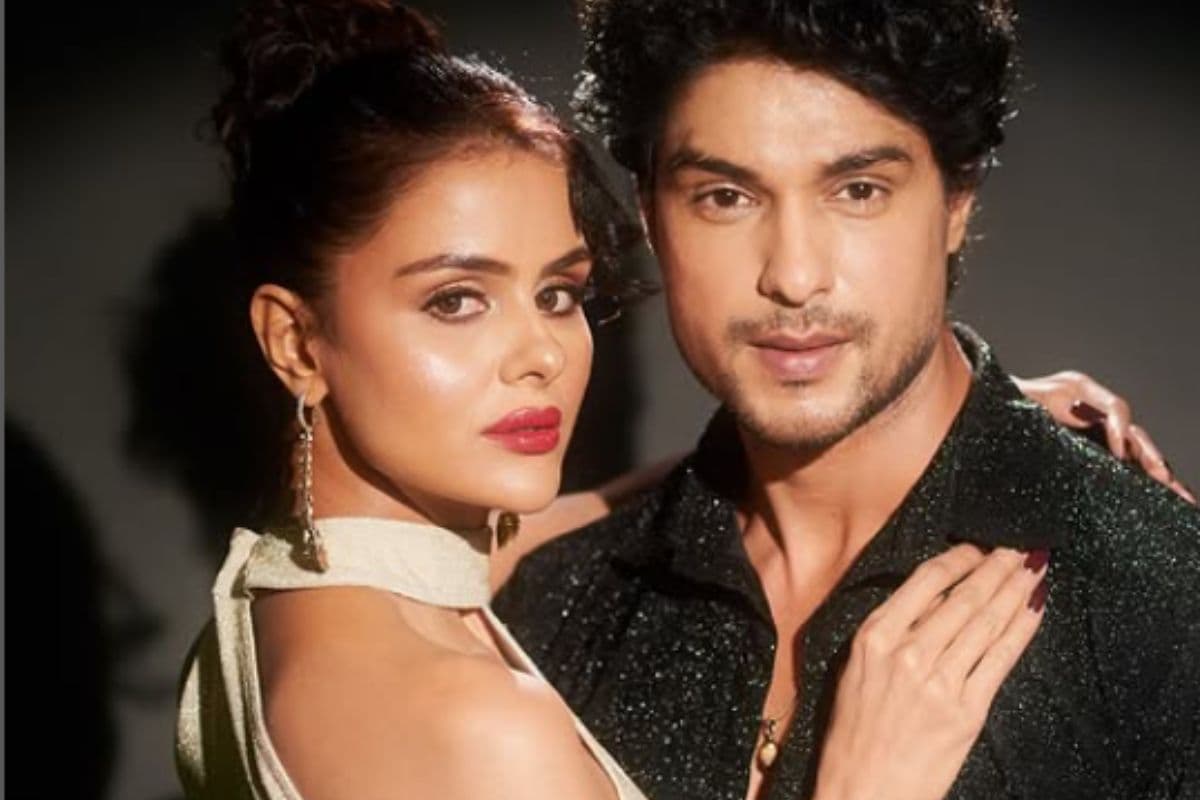 Priyanka Chahar-Ankit Gupta का नहीं हुआ ब्रेकअप? एक्टर ने तोड़ी चुप्पी, कहा- इसपर कोई कमेंट...