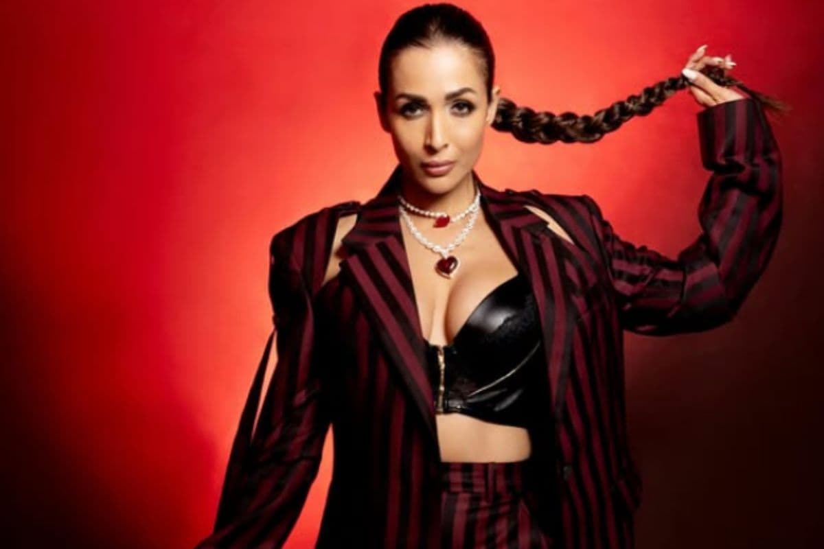 Malaika Arora Net Worth: अर्जुन कपूर से अलग होने के बाद मलाइका को मिला नया प्यार? जानिए उनकी नेटवर्थ