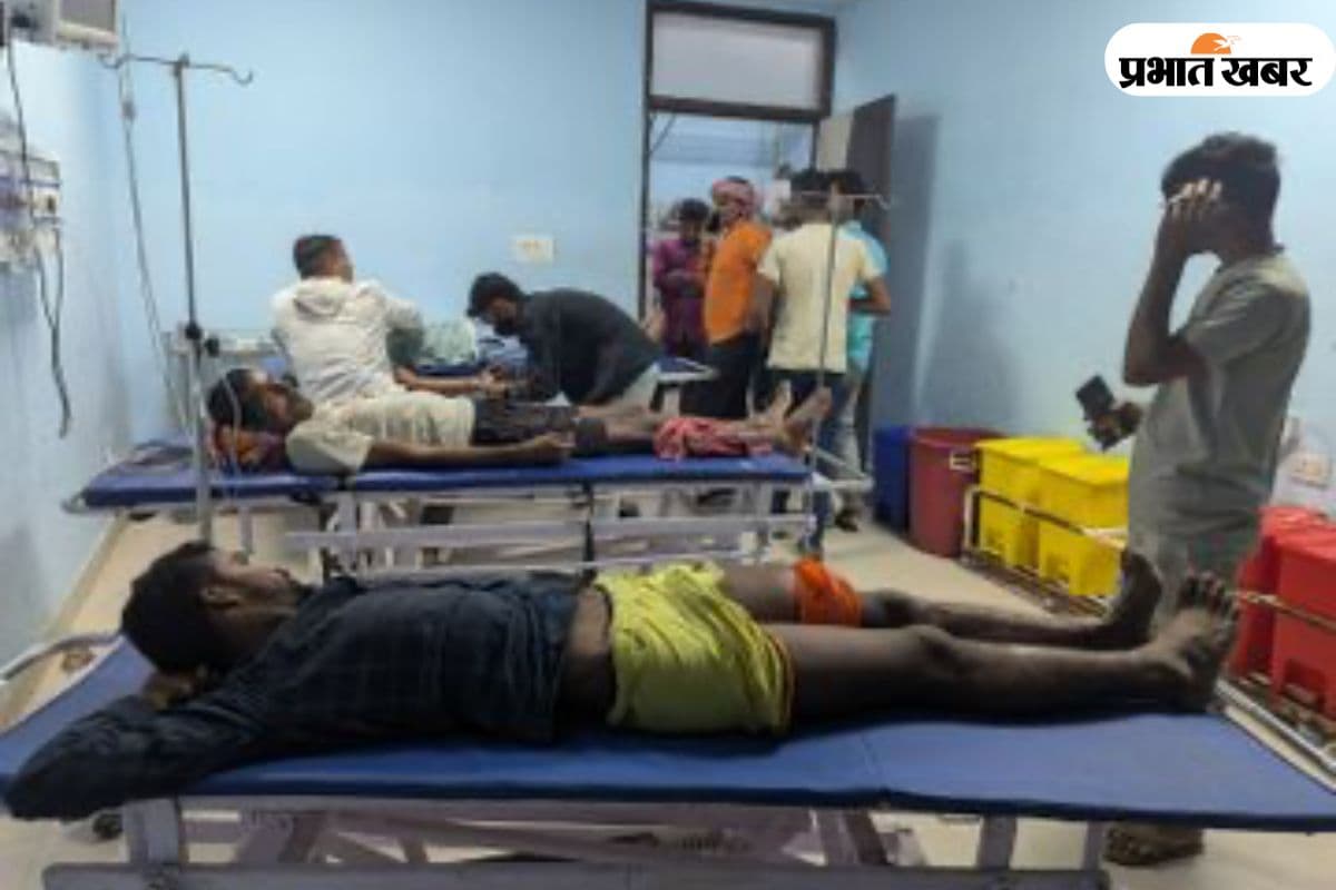 बिहार में जंगली सुअर का उपद्रव, आधा दर्जन से ज्यादा लोगों को किया घायल