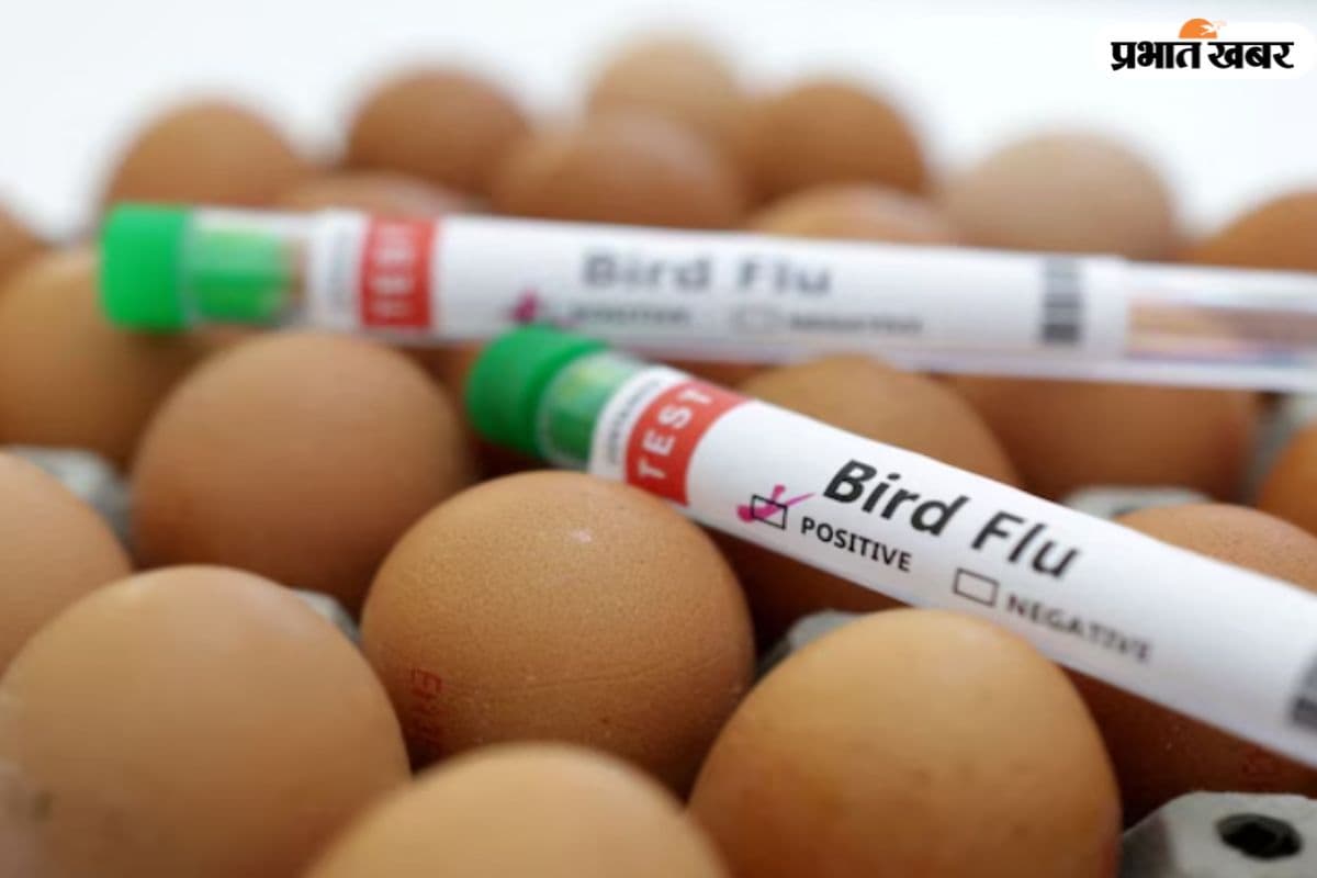 Bird Flu: बर्ड फ्लू के कारण बिहार के स्कूलों से जुड़ा बड़ा फैसला आया, अभी इस चीज पर पूरी तरह रहेगी रोक...