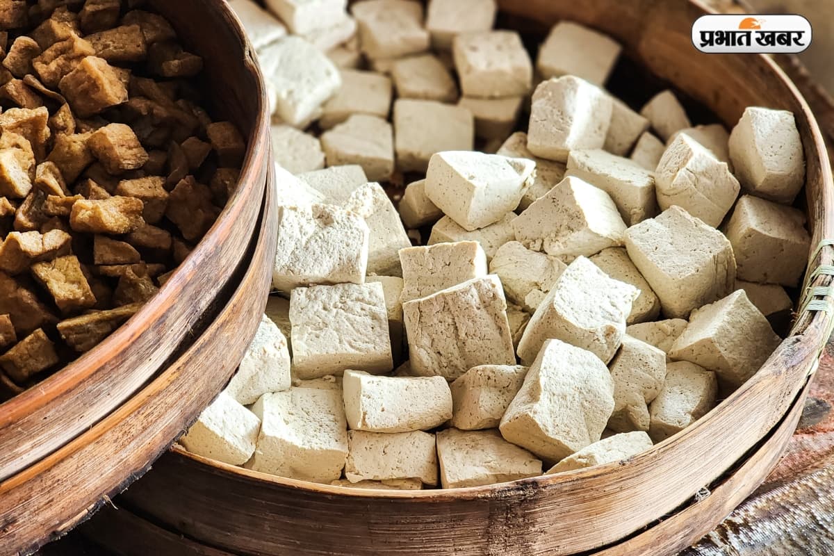 Tofu Business Idea: कम लागत में सफल बिजनेस का आसान रास्ता, शुरू करें टोफू बिजनेस