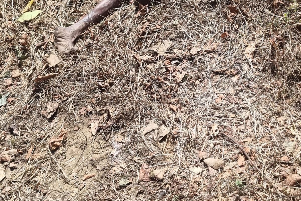 रामगढ़ में गजराज का आतंक, 60 साल के बुजुर्ग को कुचल कर मार डाला