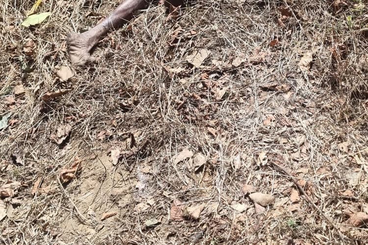 रामगढ़ में गजराज का आतंक, 60 साल के बुजुर्ग को कुचल कर मार डाला