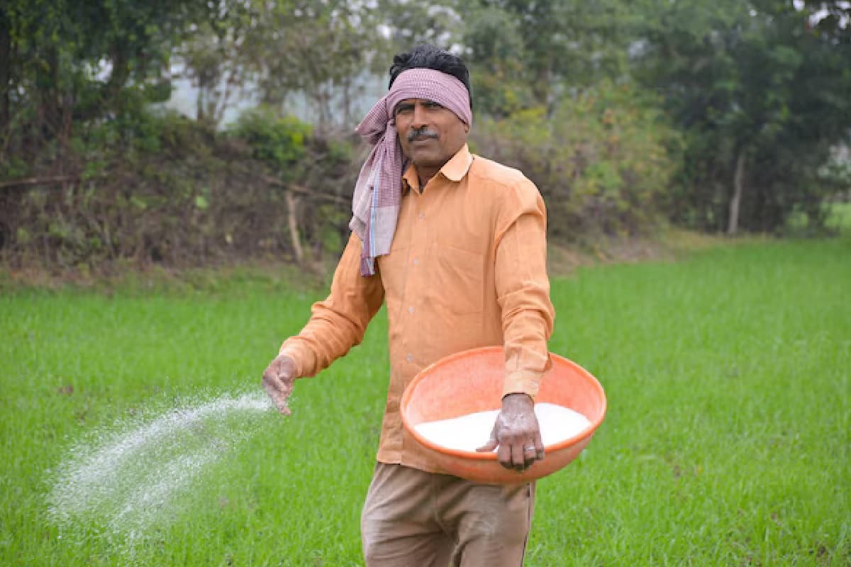 किसानों को किफायती दरों पर मिलेगी खाद, सरकार देगी 37,216 करोड़ रुपये की सब्सिडी