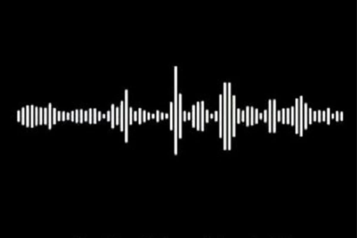 गया SSP ने दरोगा को ऑडियो वायरल मामले में किया सस्पेंड, शराब माफिया से बियर मांगने पर हुई कार्रवाई