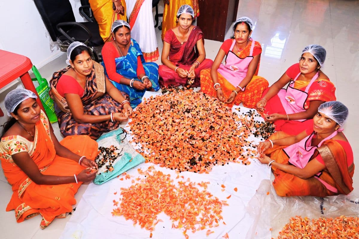 Holi 2025: झारखंड के बाजार में हर्बल गुलाल, महिलाएं खुद कर रहीं पैकेजिंग और मार्केटिंग