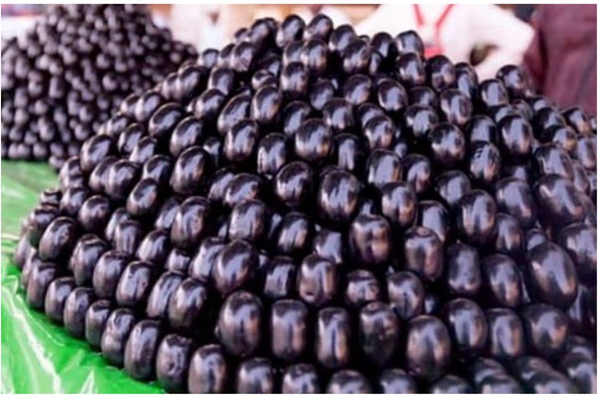 Jamun Benefits: क्या आप जानते हैं हर रोज एक जामुन खाने से मिलते हैं कई चमत्कारी फायदे