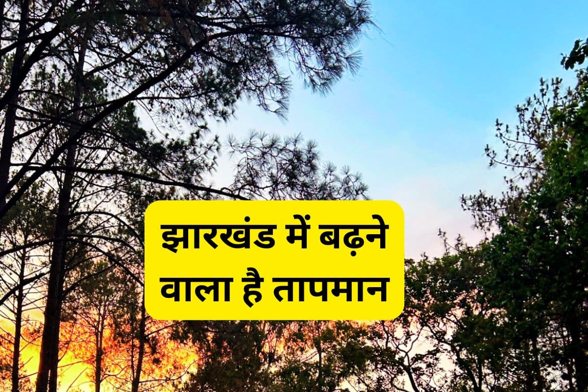 Jharkhand Weather Forecast: झारखंड में बढ़ने वाली है गर्मी, अगले 5 दिन कैसा रहेगा मौसम, देखें वेदर फोरकास्ट